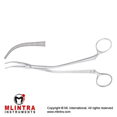 Wilson Haemostatic Forceps Curved Stainless Steel, 19 cm - 7 1/2"